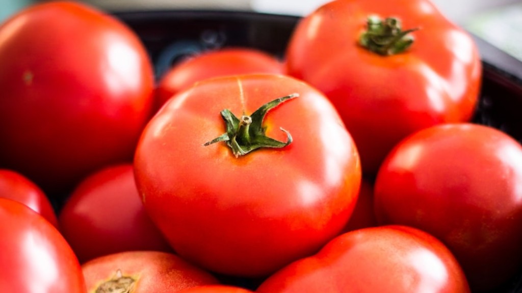 Ist Torfmoos gut für Tomaten?